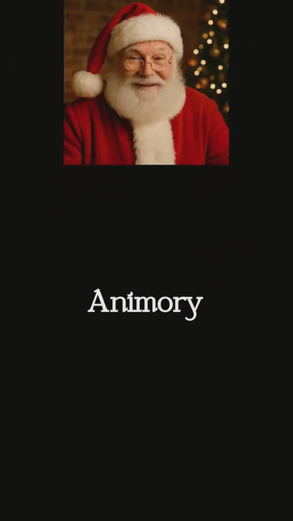 Noel Babadan Mesaj Var